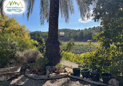 Casa de Campo en Callosa d'en Sarrià