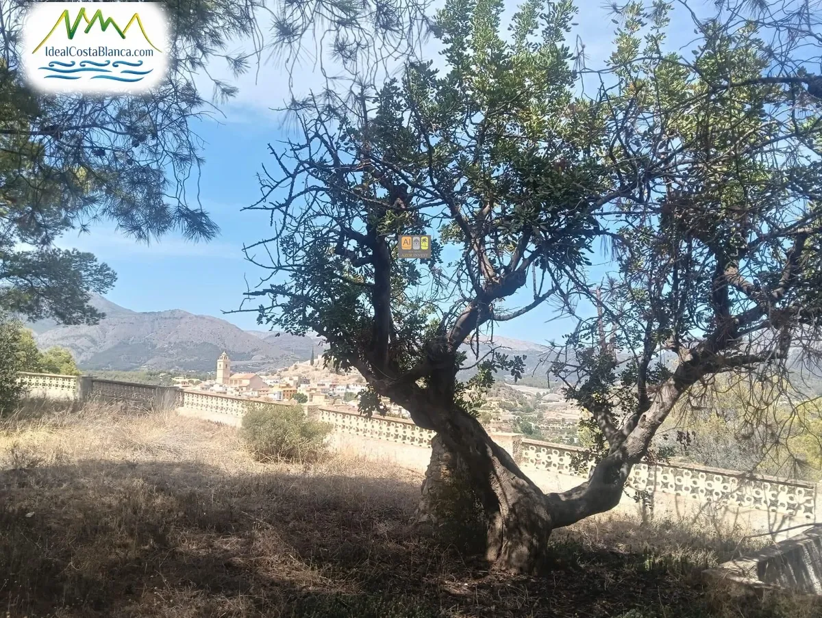 Chalet en La Nucía - Main